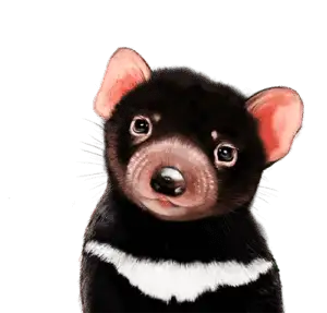 Tassie Devil | Best in Show | illustration