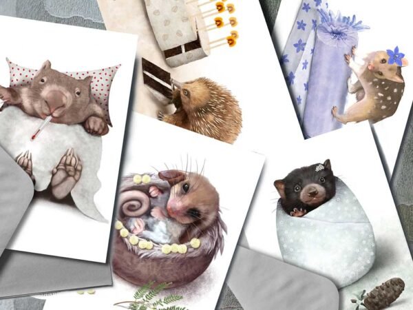 Tasmanian wildlife greeting cards | best in show | cal heath | illustration | graphic design | Tassie Devil Baby Card | wombat get well card | Pygmy-possum baby greeting card | Echidna greeting card