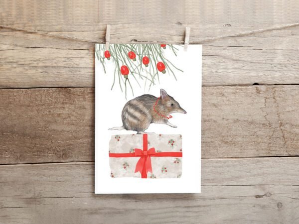 Bandicoot Christmas Card