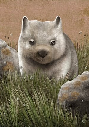 wombat joey greeting card | best in show | Cal Heath | Illustration