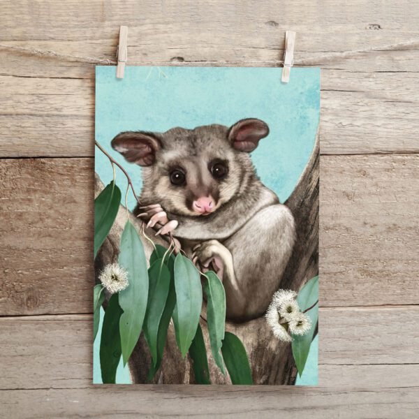 Possum joey Print | Fine art print hanging on wooden wall | Best in Show | illustrated by Cal Heath | Tasmanian Wildlife Art