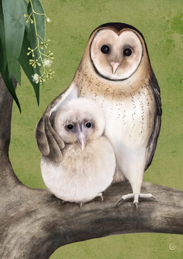 Masked Owl | Mama and chick | Best in Show | birds | illustration | Cal Heath | Tasmanian Masked Owl
