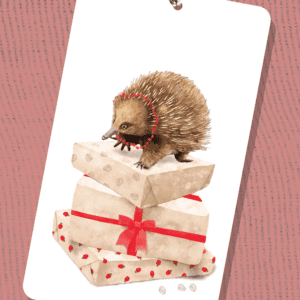 Echidna Christmas Tag | Best in Show | Illustration by Cal Heath
