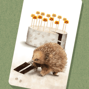 Echidna Wildlife Gift Tag | Best in Show | Illustration by Cal Heath