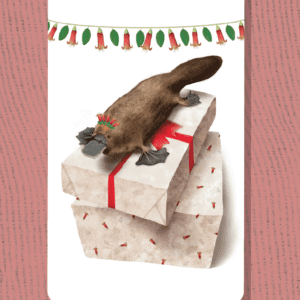 Platypus Christmas Present Tag | Best in Show | Illustration by Cal Heath