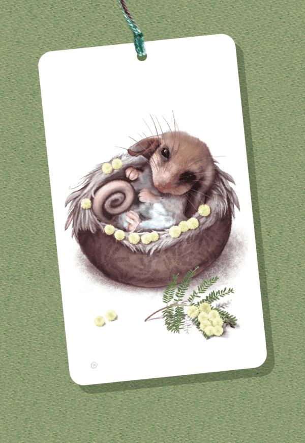 Pygmy-possum Gift Tag | Best in Show | Illustration by Cal Heath