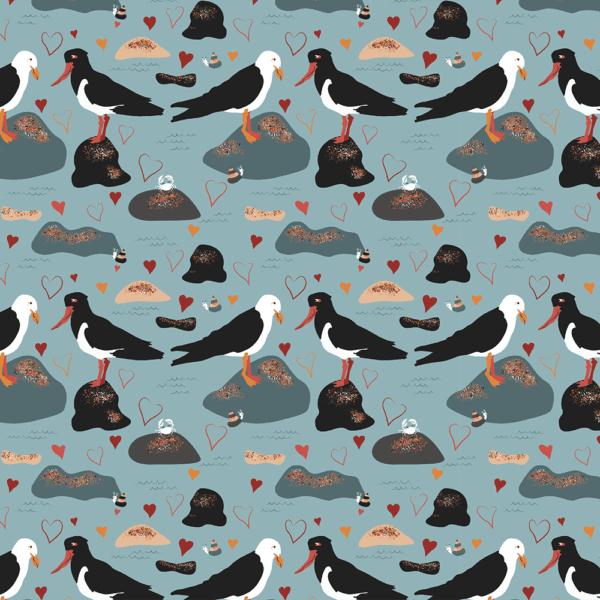 Shore Birds Wrapping Paper | Gift Wrap | Best in Show | Illustrated by Cal Heath