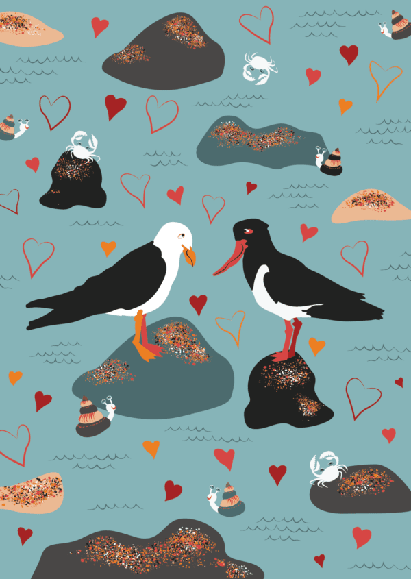 Shore thing greeting card | illustrated by Cal Heath | Best in Show | Pacific Gull | Pied Oyster Catcher