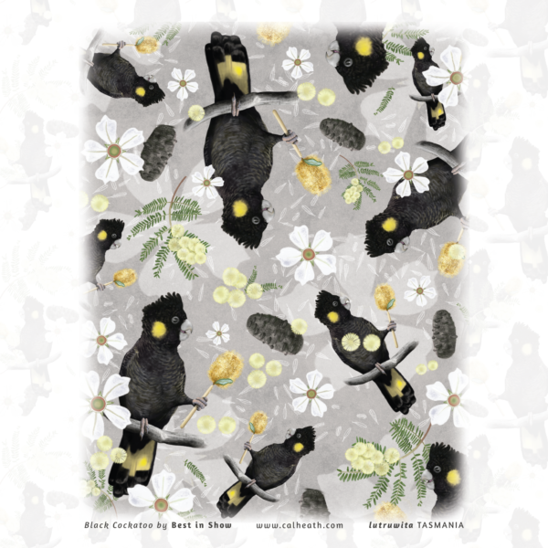 Black Cockatoo tea-towel design showing banksia pods and sunshine wattle | Illustrated by Cal Heath | Full Tea-towel design | by Best in Show | White Organic Cotton Tea-towel design