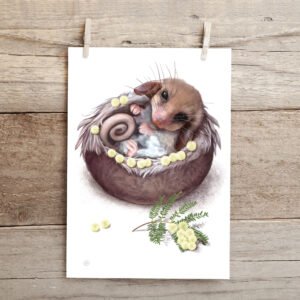 Pygmy Possum Fine Art Print | Illustrated by Cal Heath | Best in Show