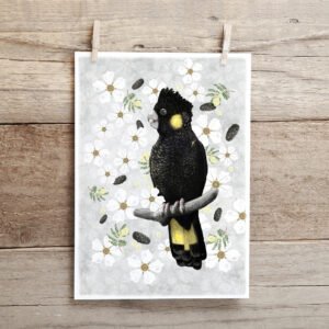 Yellow-tailed Black Cockatoo illustration shown hanging against a wooden wall | by Cal Heath | Best in Show