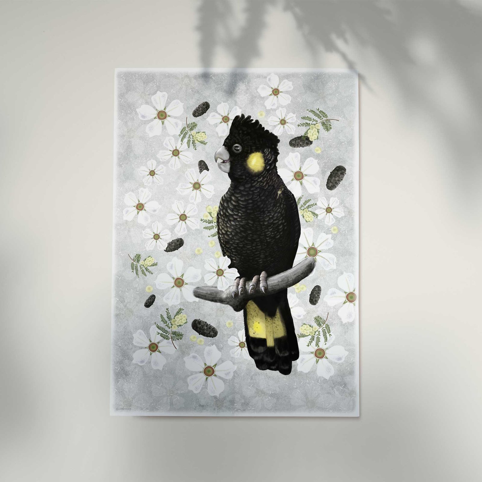 Yellow-tailed Black Cockatoo wall sticker | illustration by Cal Heath | Best in Show