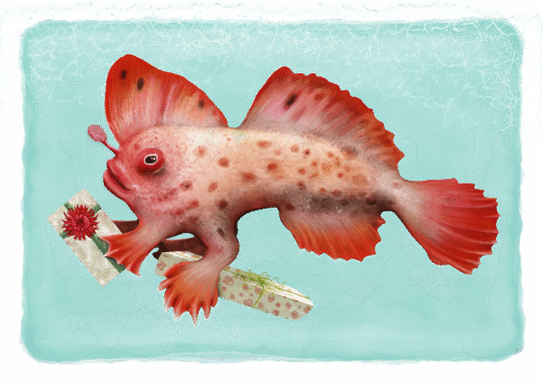 Red Handfish Greeting Card | Red Handfish Illustration | Best in Show | by Cal Heath
