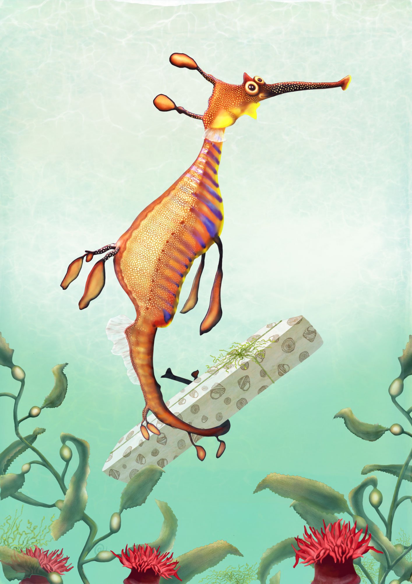 weedy seadragon in the water | weedy seadragon illustration | best in show | Cal Heath | Tasmanian sea life | Tasmania
