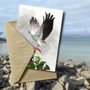 Tasmanian Wildlife Christmas card | White-bellied Sea-eagle Christmas Card | Illustrated by Cal Heath | Best in Show