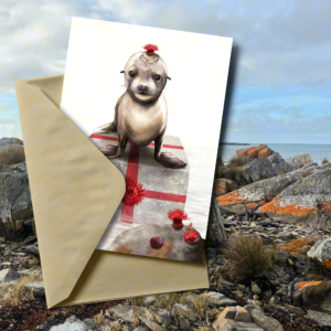 Tasmanian Wildlife Christmas card | Australian Fur Seal Pup Christmas Card | Illustrated by Cal Heath | Best in Show